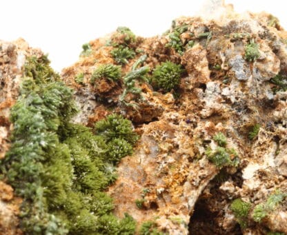 Pyromorphite verte de la mine de Vézis, dans l'Aveyron.