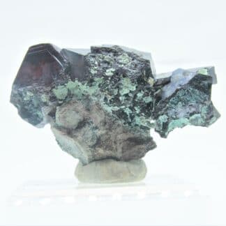 Grand cristaux de Cuprite, mine de Mashamba, Katanga, Congo.