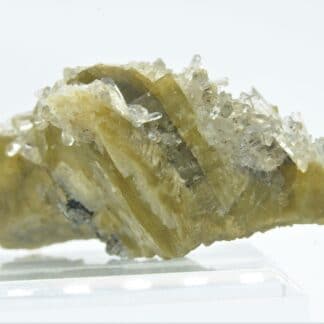 Quartz sur Sidérite et Pyrite, La Taillat, Allevard, Isère.