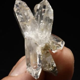 Quartz à âme, le Plan du Lac, Isère.