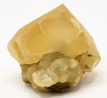 Calcite miel, carrière de Pont-à-Nôle, Charleroi, Belgique.