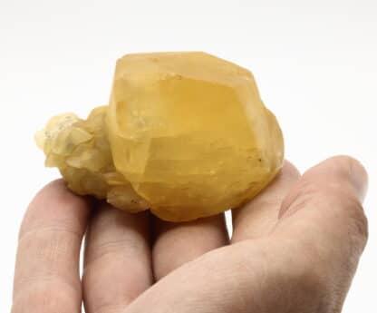 Calcite miel, carrière de Pont-à-Nôle, Charleroi, Belgique.