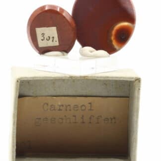 Cornaline polie (carneol geschliffen), collection Museum Bally-Prior.