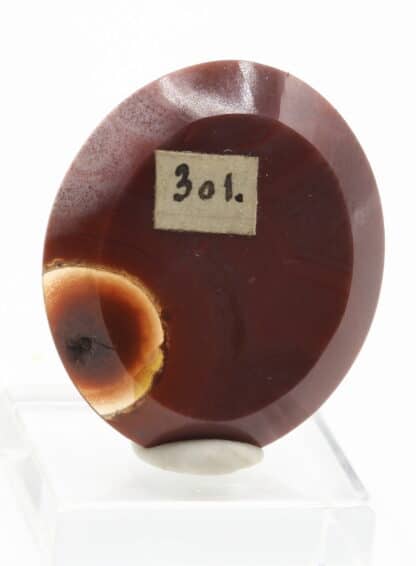 Cornaline polie (carneol geschliffen), collection Museum Bally-Prior.