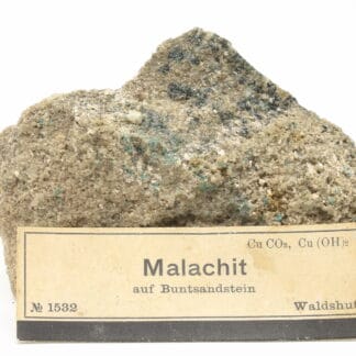 Malachite (malachit auf buntsandstein), Waldshut, Fribourg, Allemagne.
