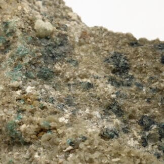 Malachite (malachit auf buntsandstein), Waldshut, Fribourg, Allemagne.