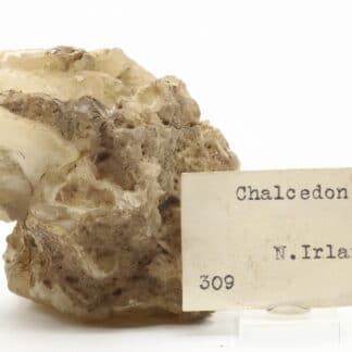 Calcédoine (chalcedon), Irlande du nord, ex collection Museum Bally-Prior.