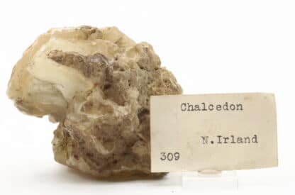 Calcédoine (chalcedon), Irlande du nord, ex collection Museum Bally-Prior.