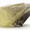 Calcite (macle), carrière de Glageon, Avesnois, Nord.