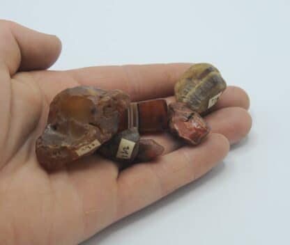 Agate et Quartz, Paraguay.