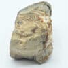 Agate et Opale, Issue des collections du musée Bally en Suisse.