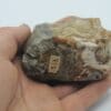 Agate et Opale, Issue des collections du musée Bally en Suisse.