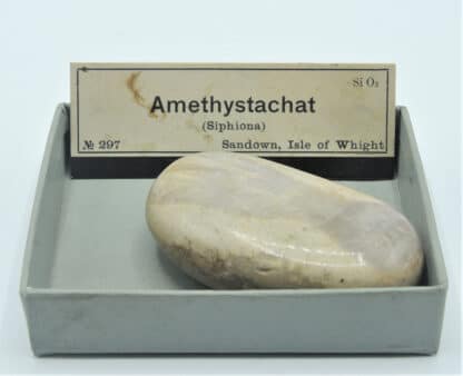 Fossile (Siphonia) en Agate améthystée, Sandown, Île de Wight, Royaume-Uni.