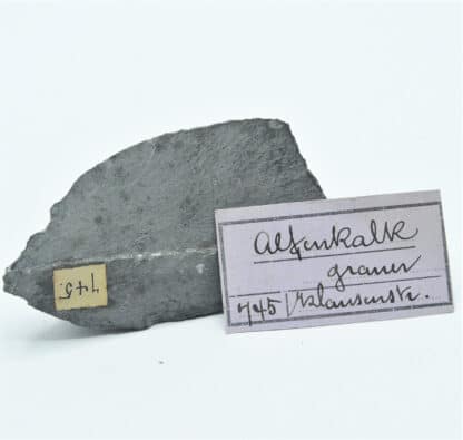 Calcaire, Allemagne, avec étiquette manuscrite ancienne.
