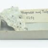 Magnétite automorphe dans du Talc.