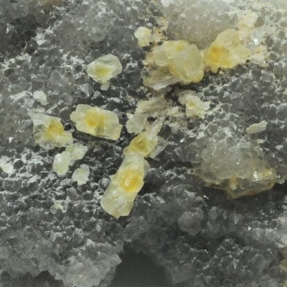 Fluorine bleutée, Barytine et Quartz, Le Barlet, Marsanges, Haute-Loire.