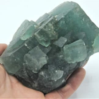 Fluorine (Fluorite) verte, Montroc, Tarn.