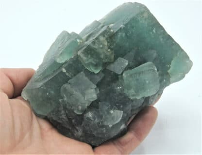 Fluorine (Fluorite) verte, Montroc, Tarn.