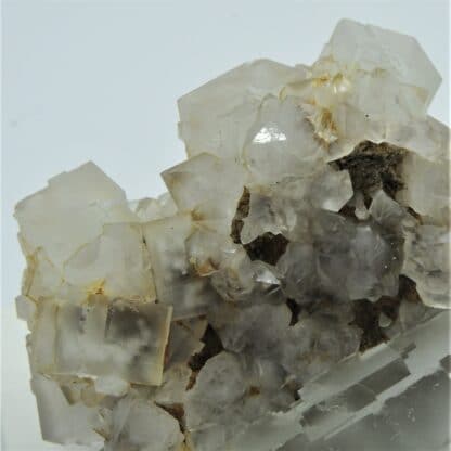 Fluorite (Fluorine) et Quartz, Montroc, Tarn.