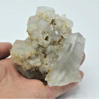 Fluorite (Fluorine) et Quartz, Montroc, Tarn.