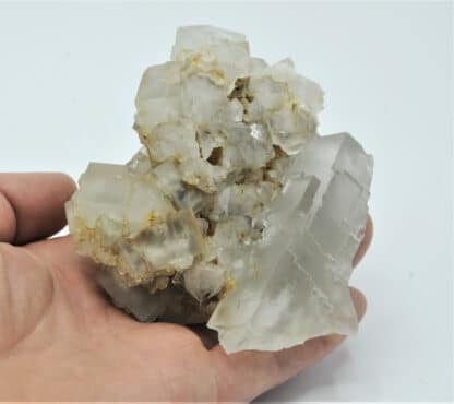 Fluorite (Fluorine) et Quartz, Montroc, Tarn.