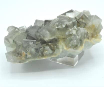 Fluorine et cristaux de barytine (Baryte), Mine de l’Avellan, Var.