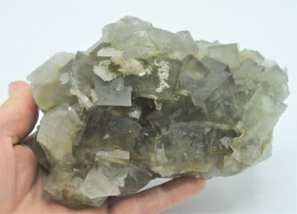 Fluorine et cristaux de barytine (Baryte), Mine de l’Avellan, Var.