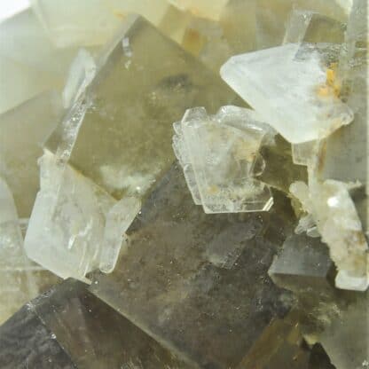 Fluorine et cristaux de barytine (Baryte), Mine de l’Avellan, Var.