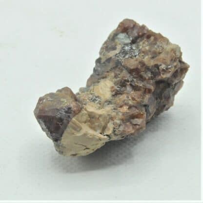 Niobite (Columbite) dans du Grenat Spessartite, Limoges, Haute-Vienne, Limousin.