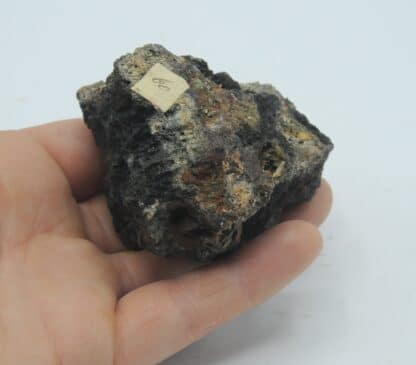 Pyrite et Limonite, Peschadoires, Pontgibaud, Puy-de-Dôme, Auvergne.