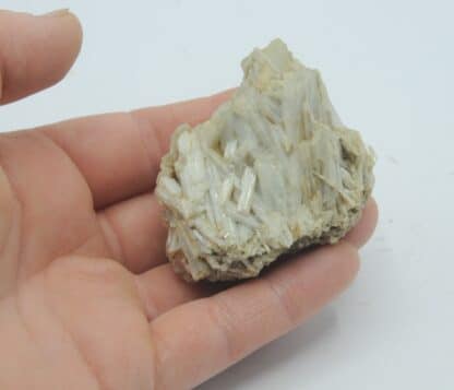 Barytine (Baryte) aciculaire, Meyrignac-de-Bar, Bar, Corrèze.