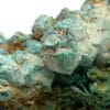 Pseudomorphose de cuprite en malachite, mine de Chessy, Rhône.