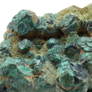 Pseudomorphose de cuprite en malachite, mine de Chessy, Rhône.