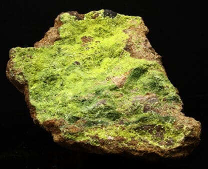 Autunite, Le Boucheron, Davignac, Ussel, Corrèze.