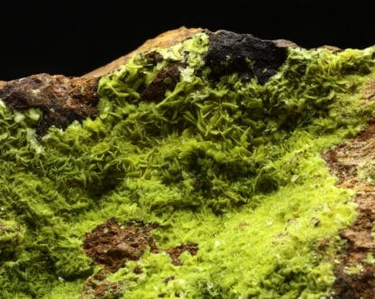 Autunite, Le Boucheron, Davignac, Ussel, Corrèze.