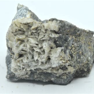 Calcite sur Arsénopyrite, Giat, Puy-de-Dôme, Auvergne.