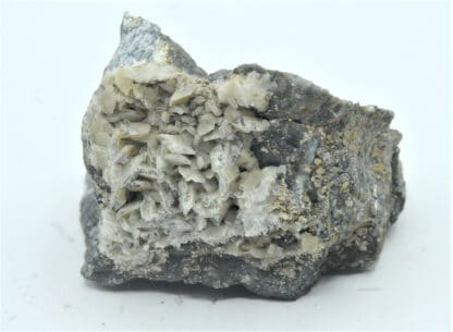 Calcite sur Arsénopyrite, Giat, Puy-de-Dôme, Auvergne.