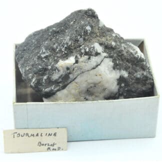 Tourmaline (schorl), Berzet, Puy-de-Dôme, Auvergne.