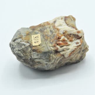 Agate et Opale, Issue des collections du musée Bally en Suisse.