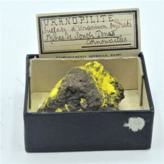 Uranopilite, Mine de South Terras, Cornouailles, Royaume-Uni.