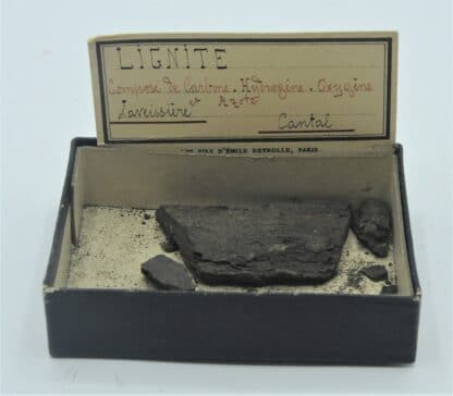 Lignite, Laveissière, Cantal, Ex Deyrolle.