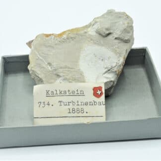 Fossile de Bioturbations dans un calcaire, Ex Collection du musée Bally.