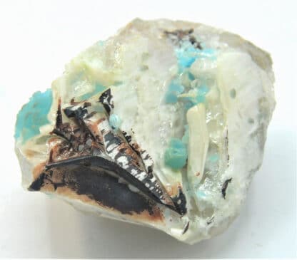 Hémimorphite bleue sur Cérusite, M’Fouati, Congo, Afrique.