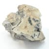 Mottramite sur Cérusite, M’Fouati, Congo, Afrique.