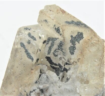 Mottramite sur Cérusite, M’Fouati, Congo, Afrique.