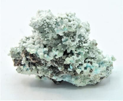 Smithsonite et Hydrozincite, Gisement de M’Fouati, Congo.