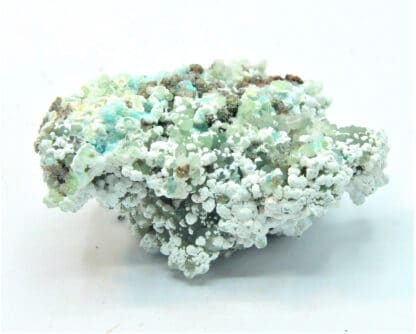 Smithsonite et Hydrozincite, Gisement de M’Fouati, Congo.