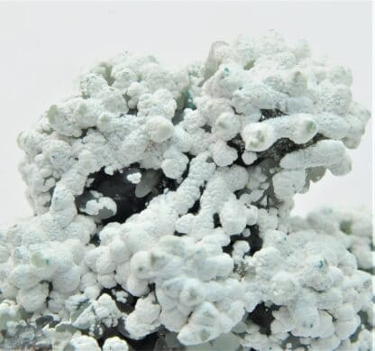 Smithsonite et Hydrozincite, Gisement de M’Fouati, Congo.