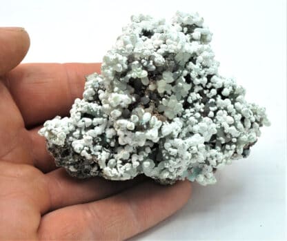 Smithsonite et Hydrozincite, Gisement de M’Fouati, Congo.