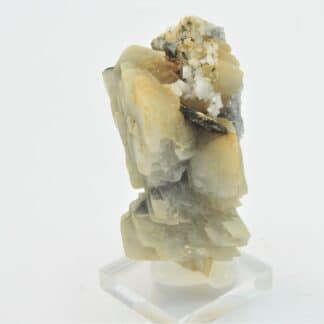 Pyrrhotite, Dolomite et Rutile, Obergesteln, Valais, Suisse.